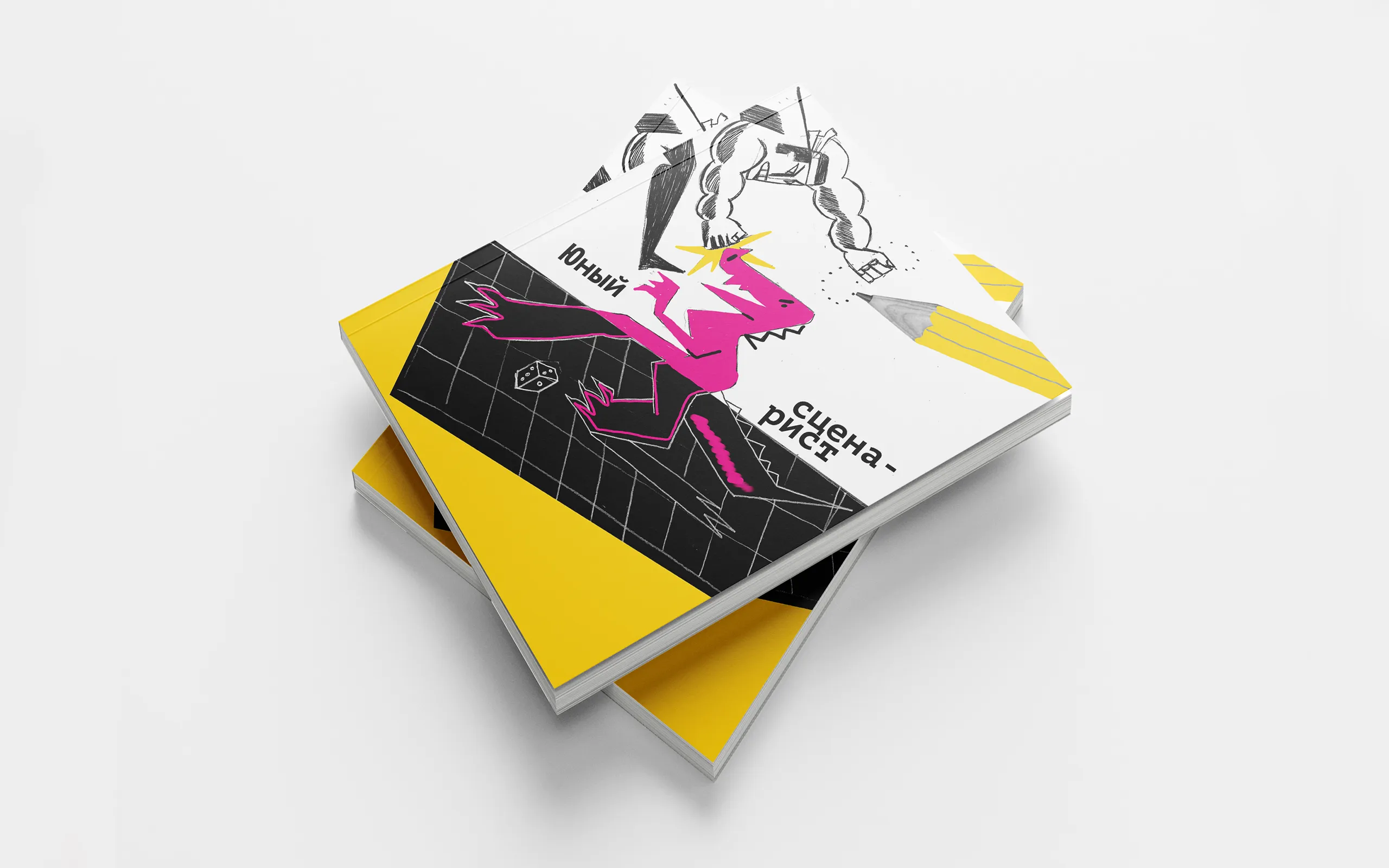 A Young Screenwriter. Book cover